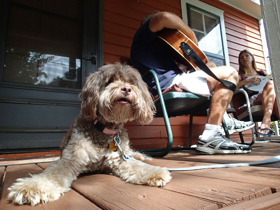 Shasta does a little porch sitting while Greg and niece Ariadne play some tunes.