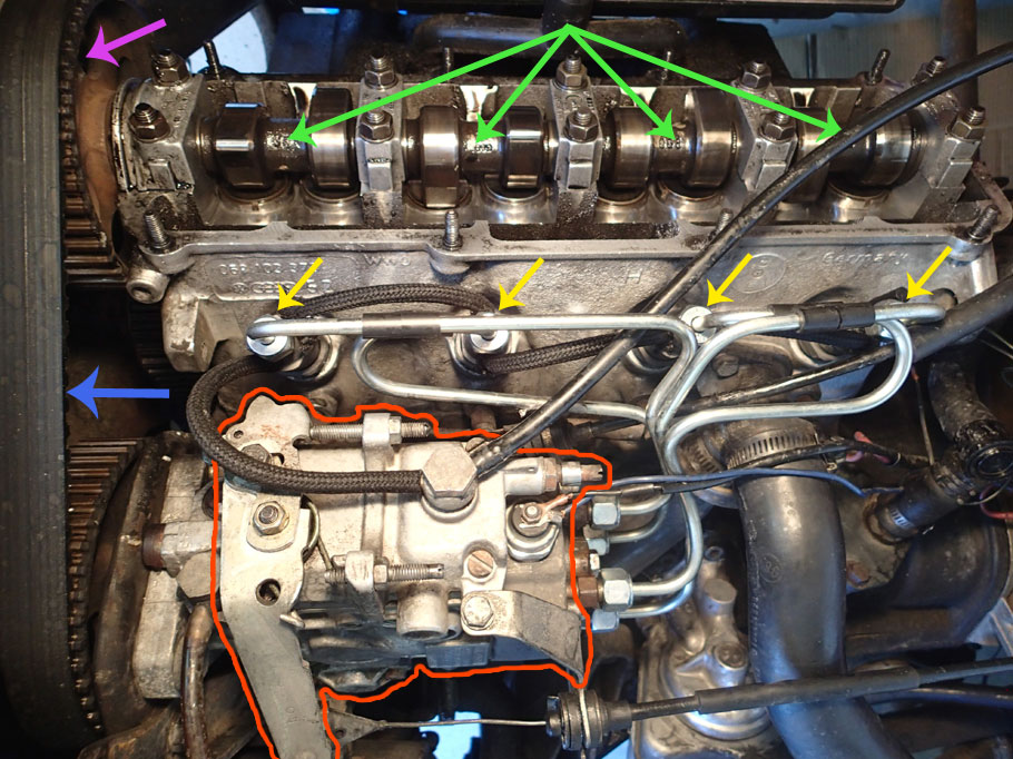Cam shaft (green) and its sprocket (pink). Injectors (yellow), timing belt (blue) and injector pump (red).